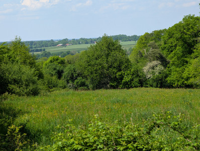 French property for sale in Saint-Priest-la-Marche, Cher - €79,200 - photo 8