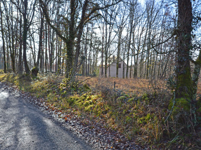 French property for sale in Tourtoirac, Dordogne - €14,600 - photo 4