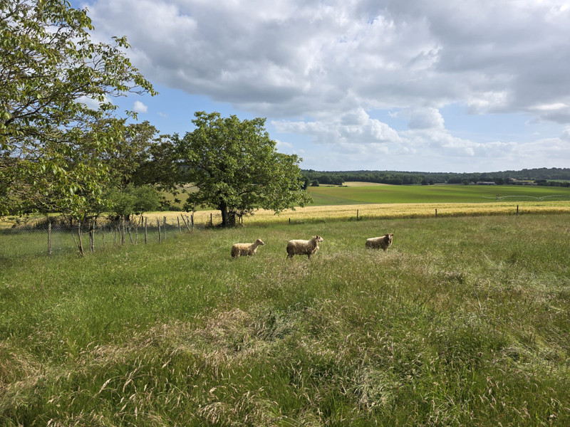 French property for sale in Marthon, Charente - €176,000 - photo 4