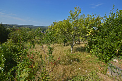 French property for sale in Badefols-d'Ans, Dordogne - €99,000 - photo 10
