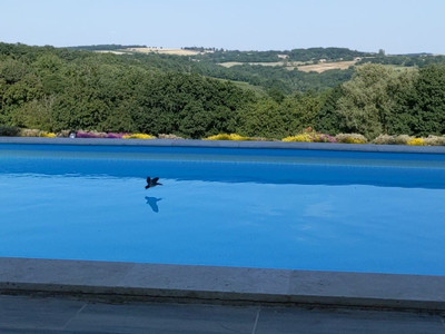 French property for sale in Port-Sainte-Marie, Lot-et-Garonne - €299,500 - photo 7