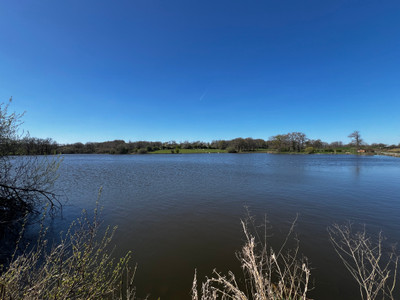 Lacs à vendre à Chénérailles, Creuse, Limousin, avec Leggett Immobilier