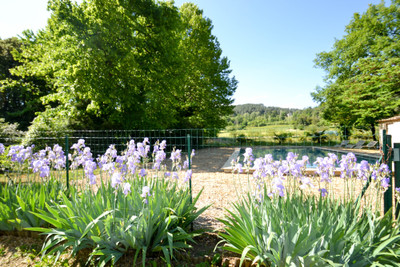 Beautifully restored stone Maison de Maître with land and swimming pool, close to Anduze