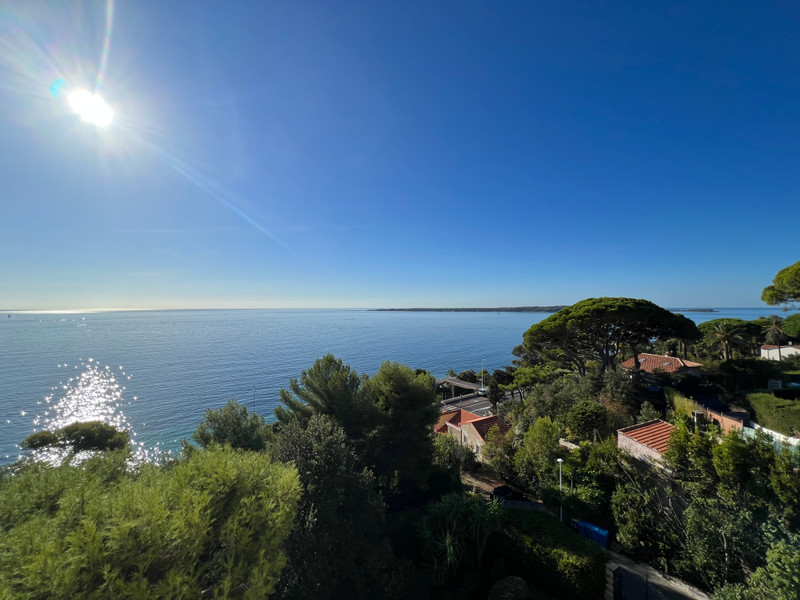Apartment for sale in Cannes AlpesMaritimes EXCLUSIVITE Cannes