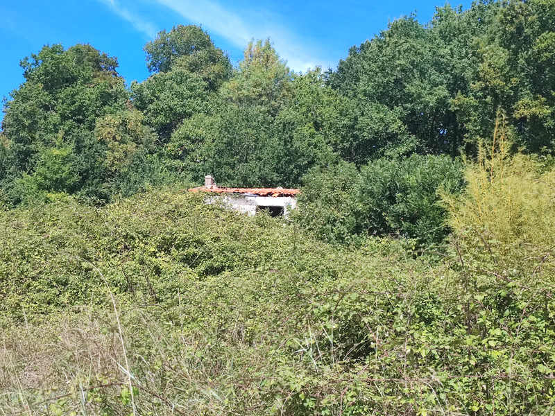 French property for sale in Villars-les-Bois, Charente-Maritime - €51,600 - photo 4