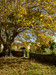 French property for sale in Sault, Vaucluse - €1,308,000 - thumbnail 9