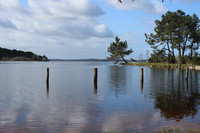 Lake for sale in Lacanau Gironde Aquitaine