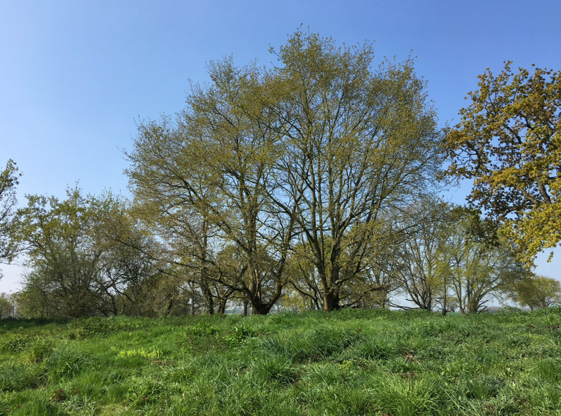 French property for sale in Carbay, Maine-et-Loire - €88,888 - photo 7