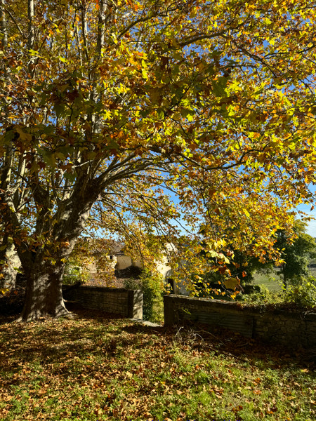 French property for sale in Sault, Vaucluse - €1,308,000 - photo 7