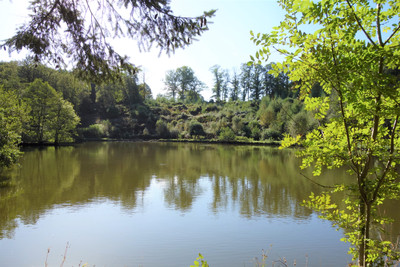 Lacs à vendre à Lignières-Orgères, Mayenne, Pays de la Loire, avec Leggett Immobilier
