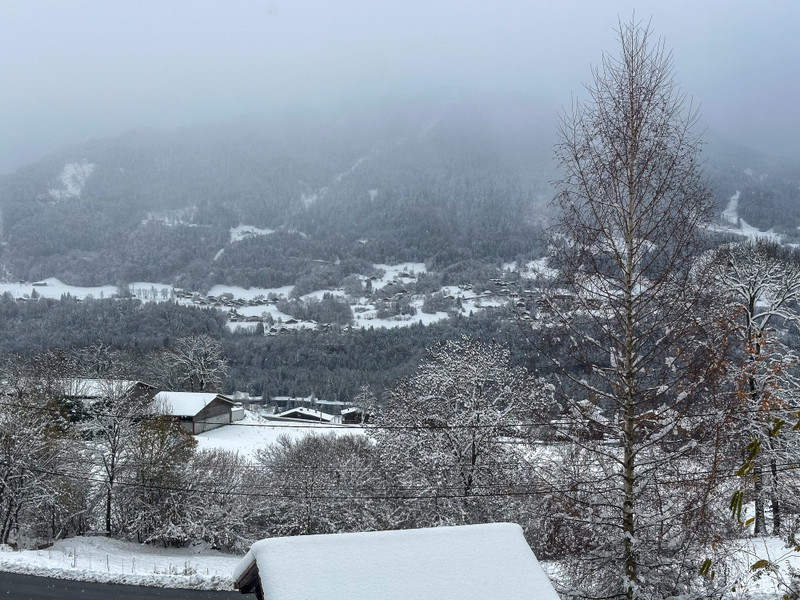 Propriété de ski à vendre - Samoëns - 620 000 € - photo 4