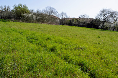 French property for sale in Aunac-sur-Charente, Charente - €42,500 - photo 1