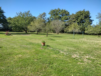 Propriété à vendre à Bourg-Archambault, Vienne - 150 000 € - photo n°7