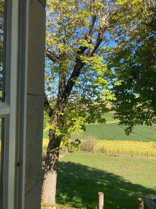 French property for sale in Vindrac-Alayrac, Tarn - €460,000 - photo 13