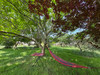 French property for sale in Bonnes, Charente - €420,000 - thumbnail 9