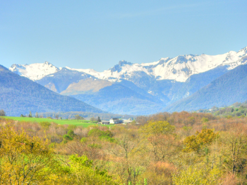 Ski property for sale in Eaux-Bonnes - €1,535,000 - photo 9