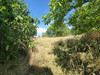 French property for sale in Chabrac, Charente - €36,600 - thumbnail 9