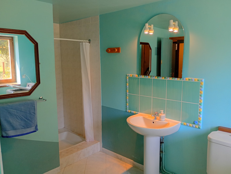 French property for sale in Thollet, Vienne - €97,900 - photo 4