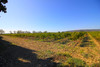 French property for sale in Argeliers, Aude - €340,000 - thumbnail 14