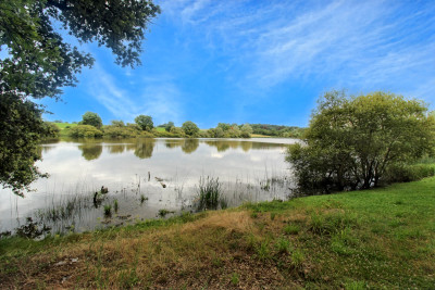 French property for sale in La Puye, Vienne - €424,000 - photo 2