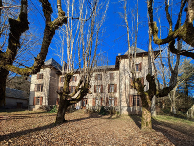 chateau for sale in Tarn