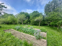 Propriété à vendre à Coudures, Landes - 371 000 € - photo n°4