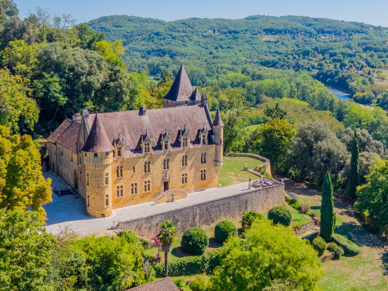French property for sale in Carlux, Dordogne - €4,500,000 - photo 1