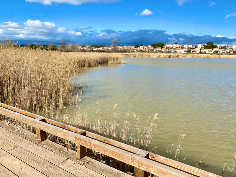 French property for sale in Homps, Aude - €88,000 - photo 13