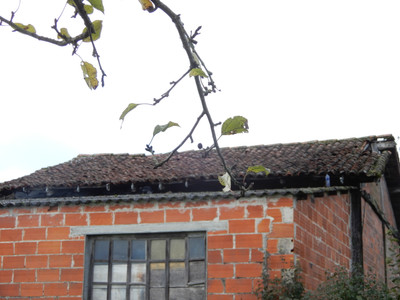 French property for sale in Exideuil-sur-Vienne, Charente - €31,600 - photo 14