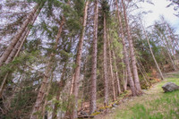 Terrain à vendre à Courchevel, Savoie - 21.600 € - photo 1