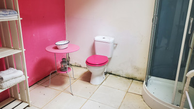 French property for sale in La Tardière, Vendée - €38,500 - photo 6