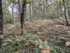 French property for sale in Sanilhac, Dordogne - €26,600 - thumbnail 6