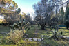 French property for sale in Mougins, Alpes-Maritimes - €1,239,000 - thumbnail 8