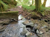 French property for sale in Espagnac, Corrèze - €48,750 - thumbnail 14