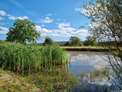French property for sale in Autry-Issards, Allier - €656,000 - photo 5