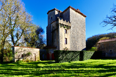 chateau for sale in Charente
