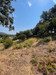 French property for sale in Saint-Raphaël, Var - €475,000 - thumbnail 9