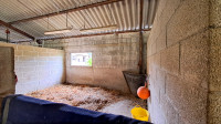 Propriété à vendre à Verneuil, Charente - 445 200 € - photo n°15
