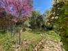 French property for sale in Montazels, Aude - €148,000 - thumbnail 9