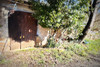 French property for sale in Puycelsi, Tarn - €89,500 - thumbnail 8