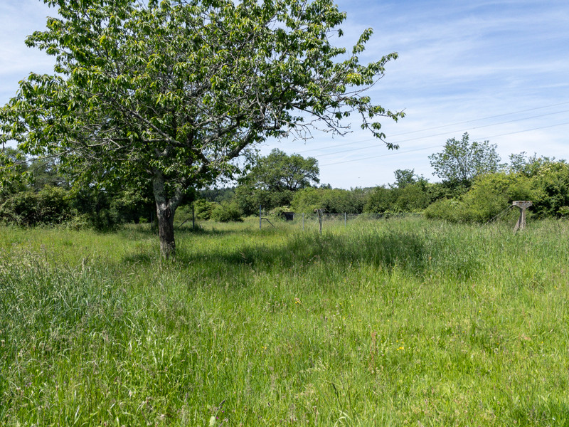 French property for sale in Pressignac, Charente - €68,600 - photo 5