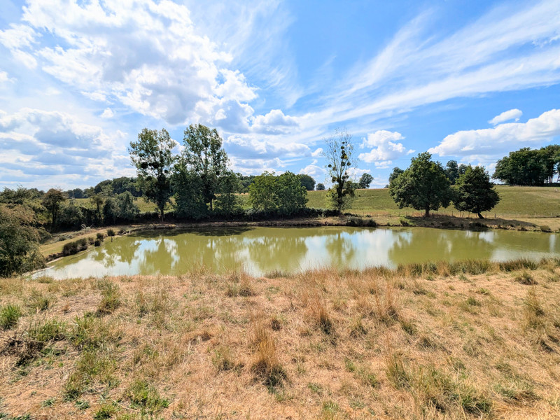 French property for sale in Saint-Julien-le-Vendômois, Corrèze - €295,000 - photo 7