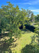 French property for sale in Sarrazac, Dordogne - €165,000 - thumbnail 9