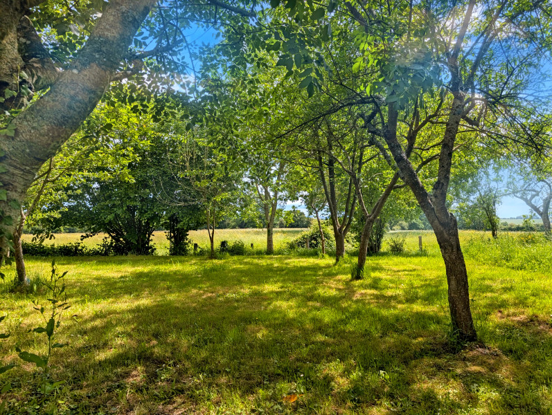 French property for sale in Perche en Nocé, Orne - €468,000 - photo 9