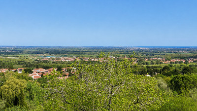 French property for sale in Villelongue-dels-Monts, Pyrénées-Orientales - €425,000 - photo 9