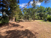 French property for sale in Aigues-Vives, Aude - €325,000 - thumbnail 14