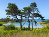 French property for sale in Penvénan, Côtes-d'Armor - €998,400 - thumbnail 9