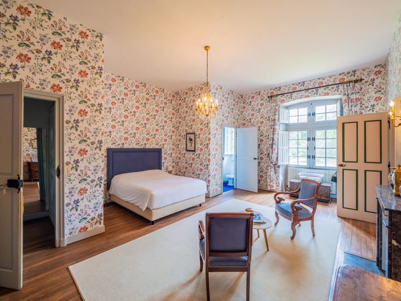 French property for sale in Chazé-sur-Argos, Maine-et-Loire - €2,880,000 - photo 5