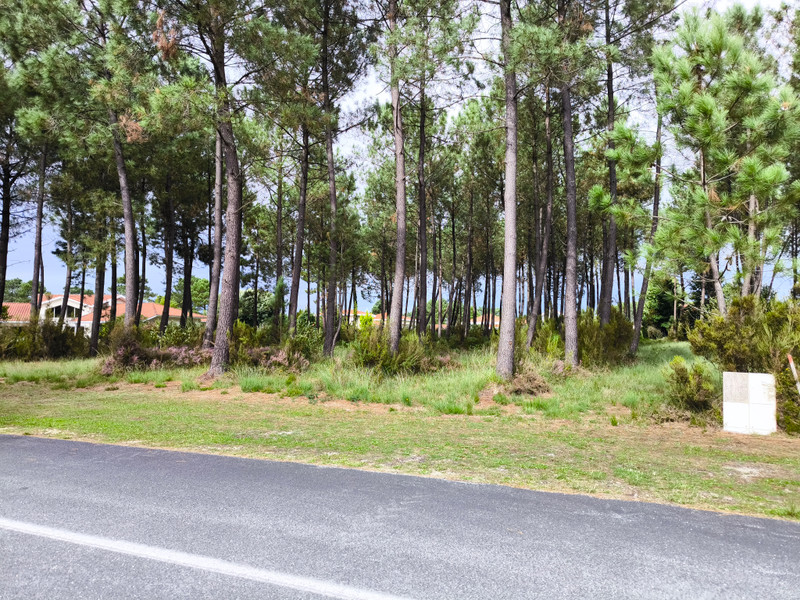 French property for sale in Biscarrosse, Landes - €550,000 - photo 1