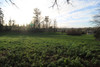 French property for sale in Confolens, Charente - €25,000 - thumbnail 3